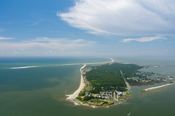 Quels sont les meilleurs spots pour l'observation des dauphins en Floride, USA : périodes et conseils ?